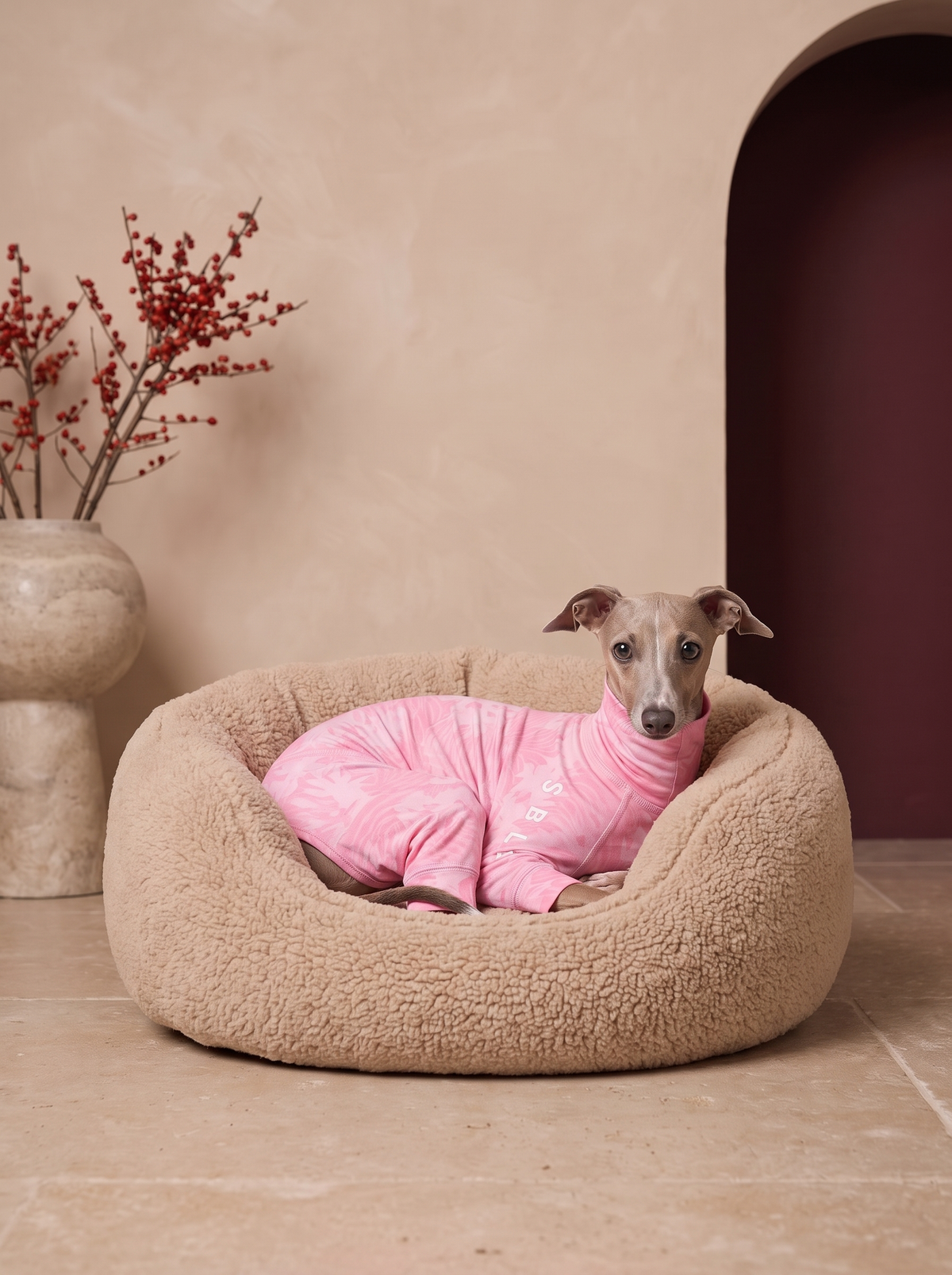 Italian Greyhound resting in a dog bed