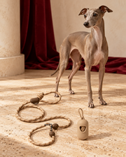 Italian Greyhound beside Coffee multiway rope lead and bag dispenser