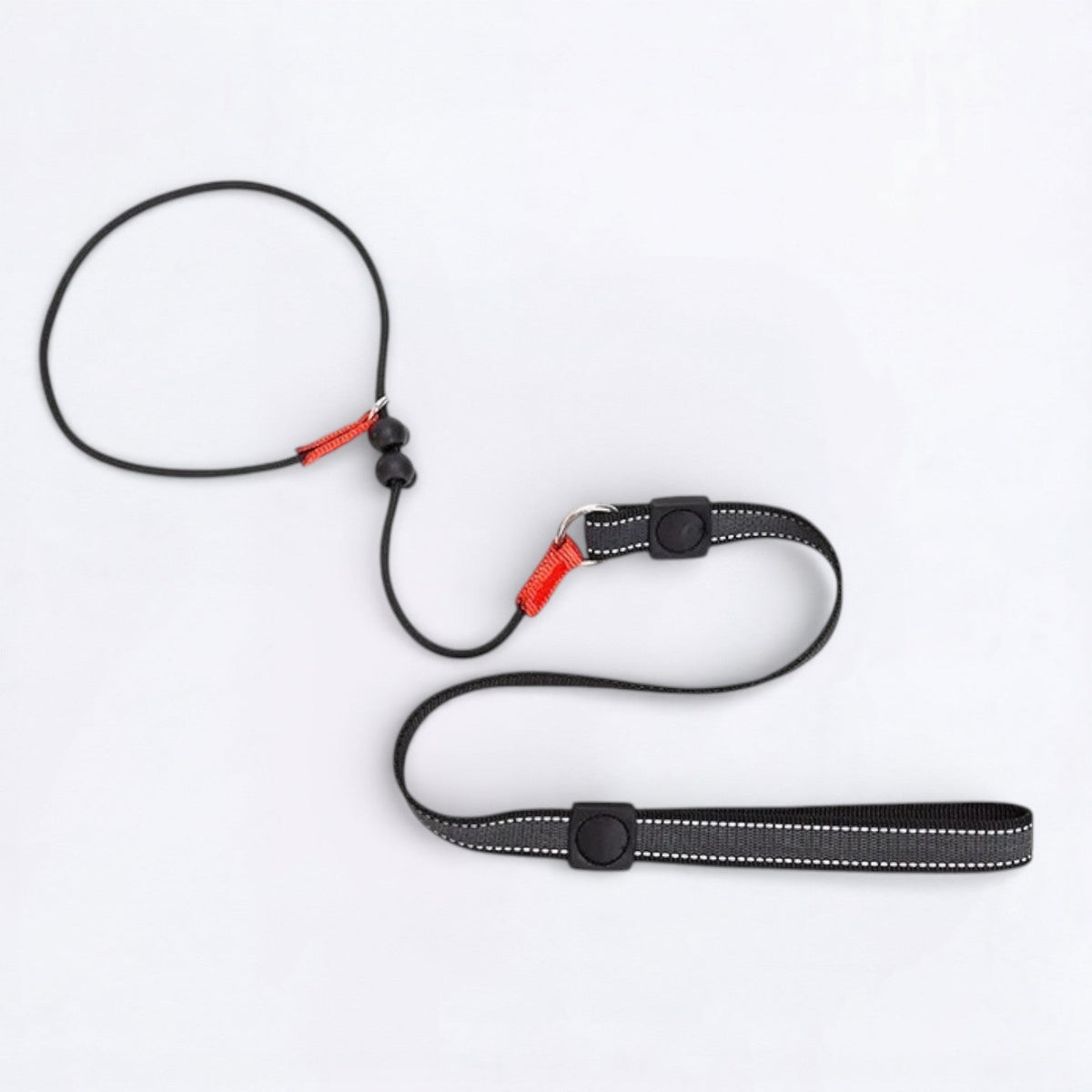 2-in-1-Training-Slip-Dog-Leash-Collar.jpg