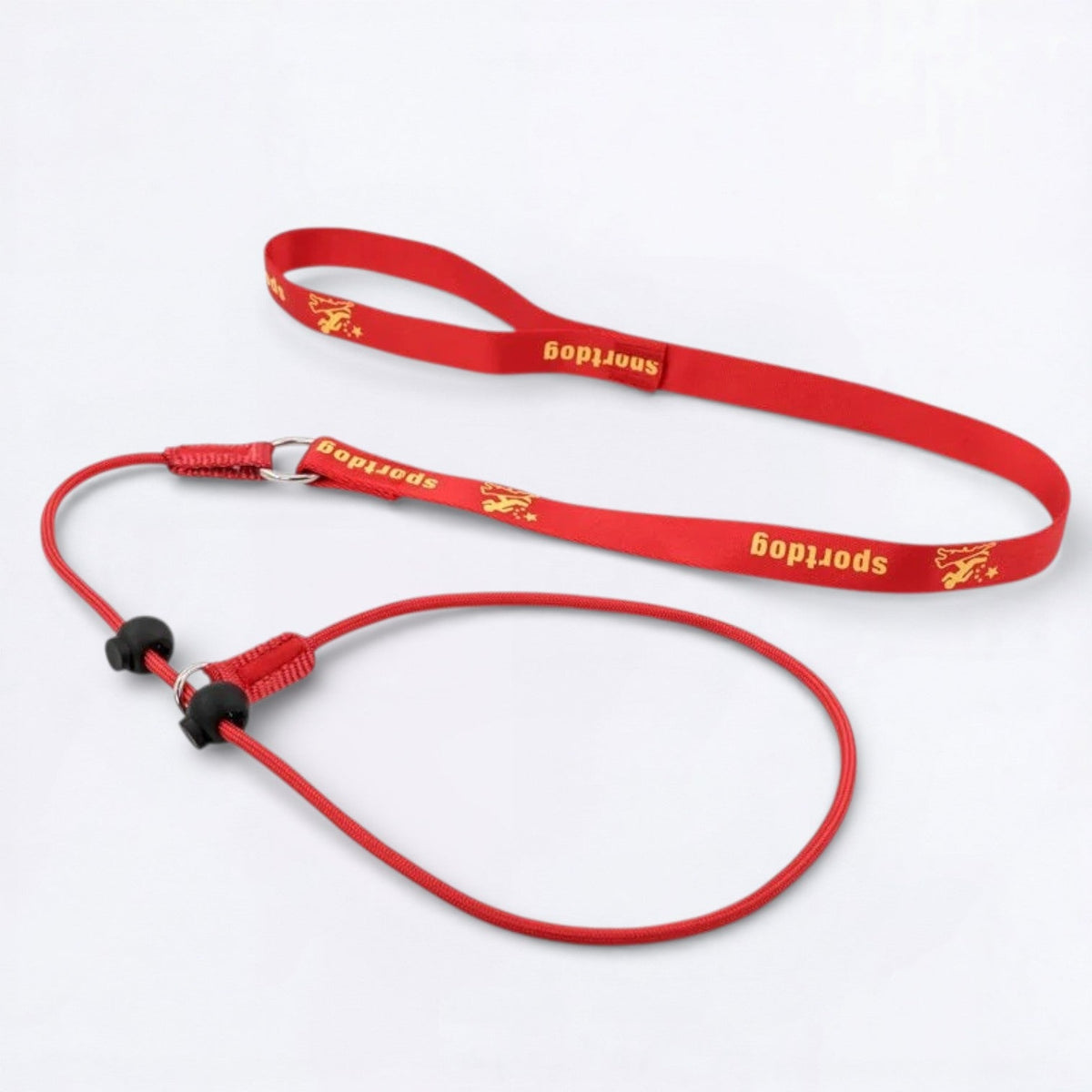 2-in-1-Training-Slip-Dog-Leash-Collar.jpg