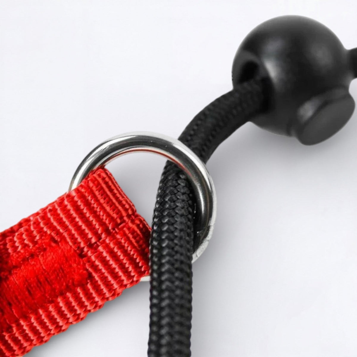 2-in-1-Training-Slip-Dog-Leash-Collar.jpg