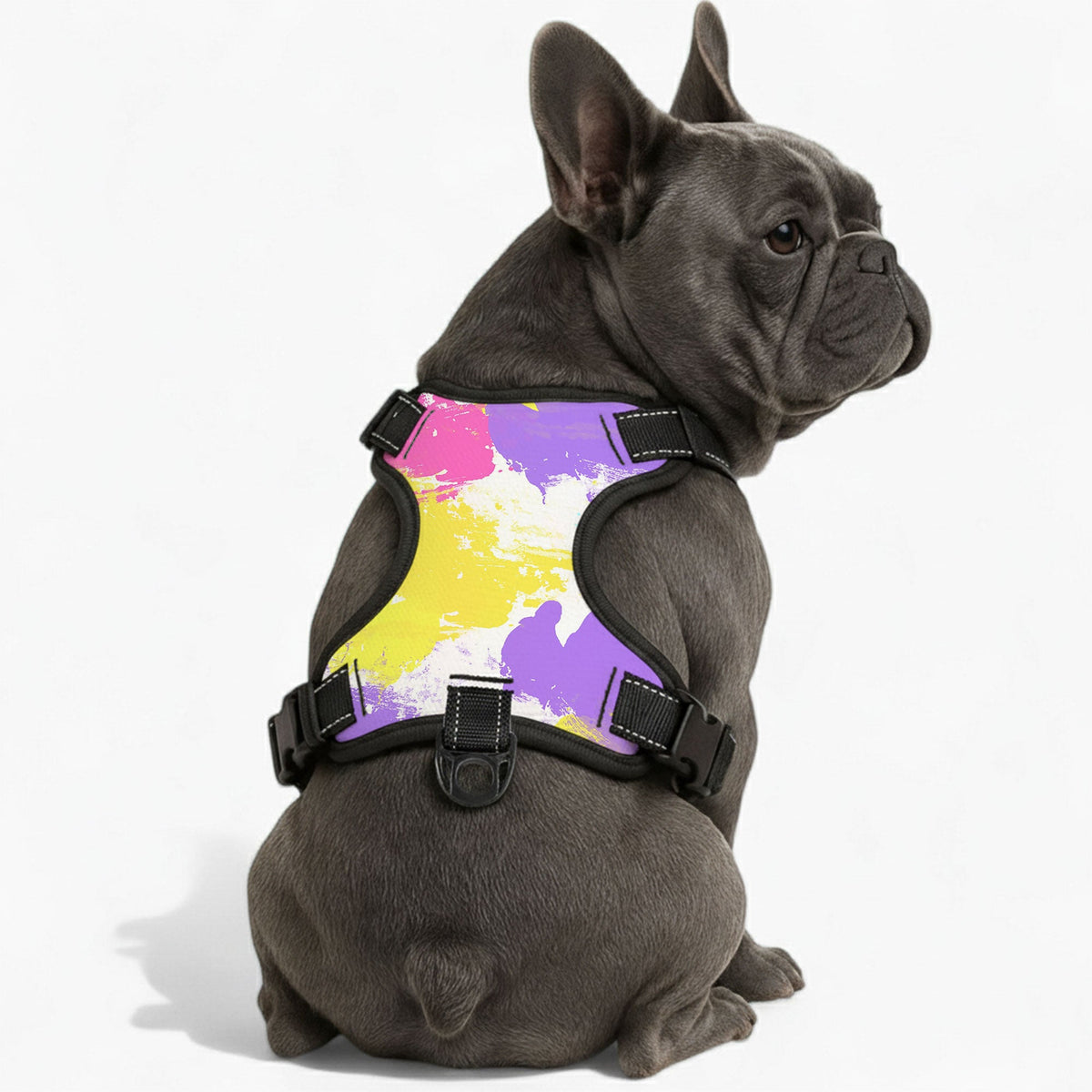 Rocco - NO-PULL Iggy Harness & Leash Set | for small and large Dogs