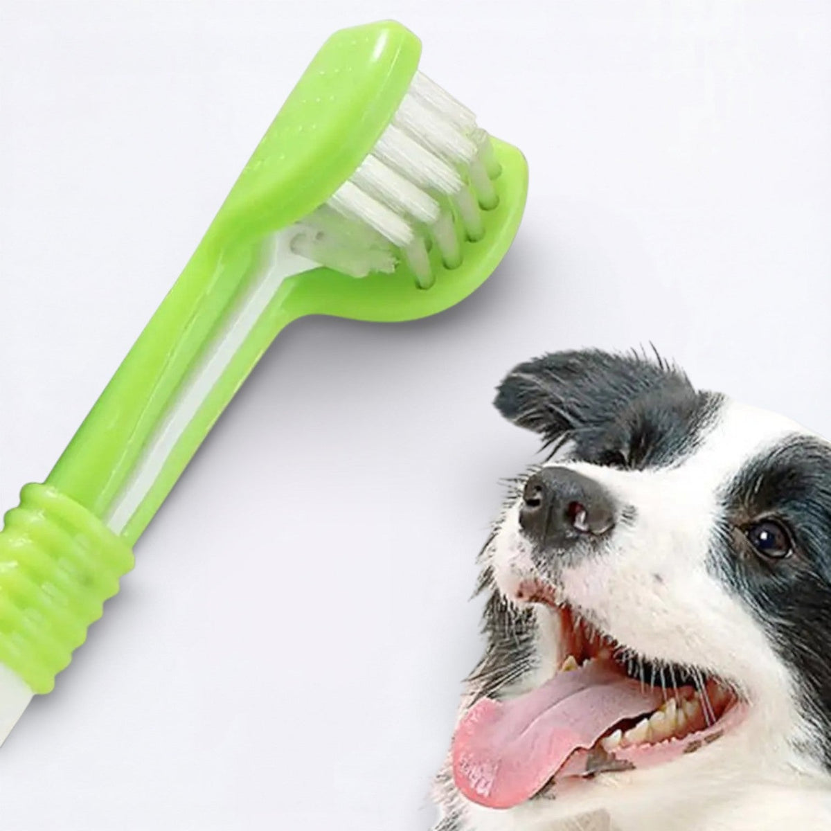 360°-Oral-Cleaning-Dog-Toothbrush.jpg