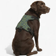 Jasper - NO-PULL Iggy Harness & Leash Set | for small and large Dogs