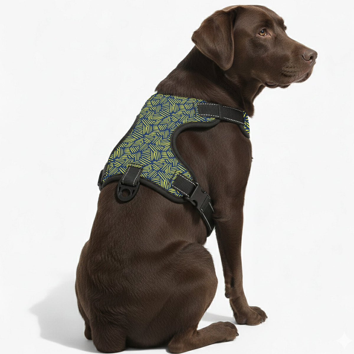 Jasper - NO-PULL Iggy Harness & Leash Set | for small and large Dogs