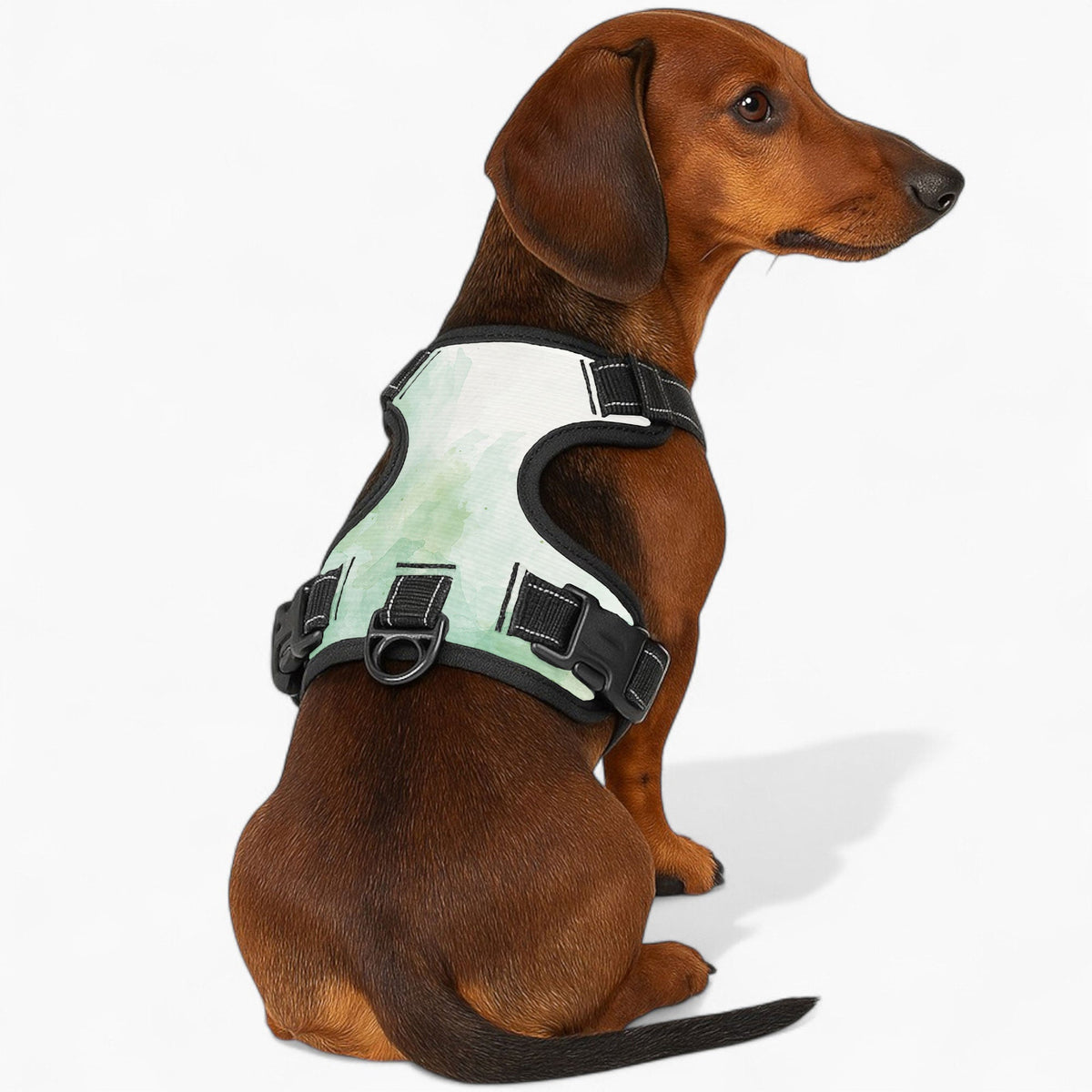 Toby - NO-PULL Iggy Harness & Leash Set | for small and large Dogs