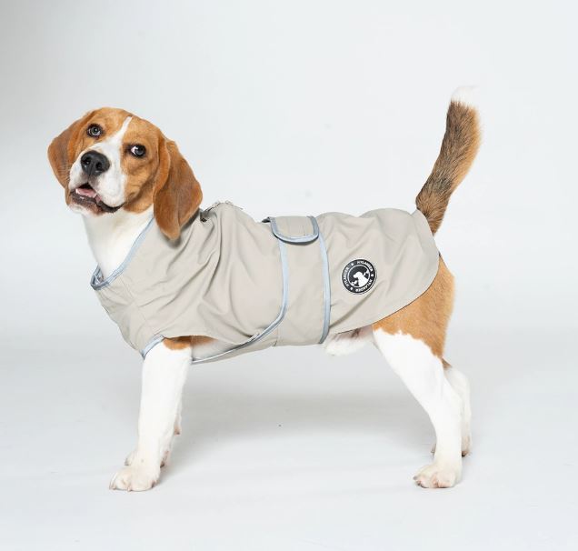 Dog wearing a heavy-duty outdoor coat