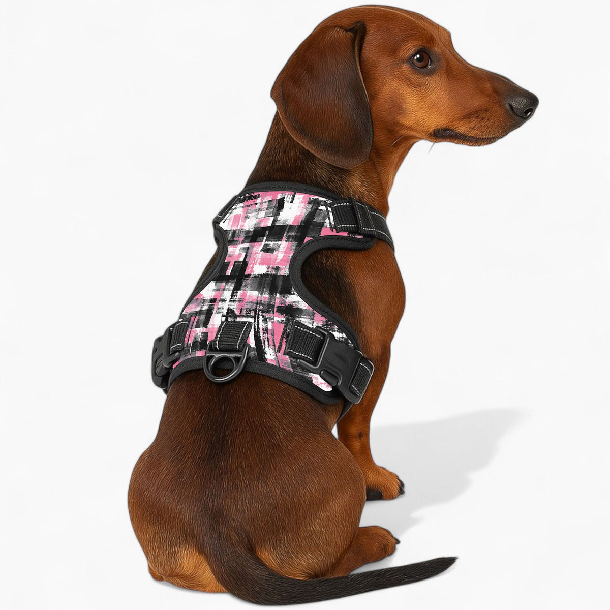 Thor - NO-PULL Iggy Harness & Leash Set | for small and large Dogs