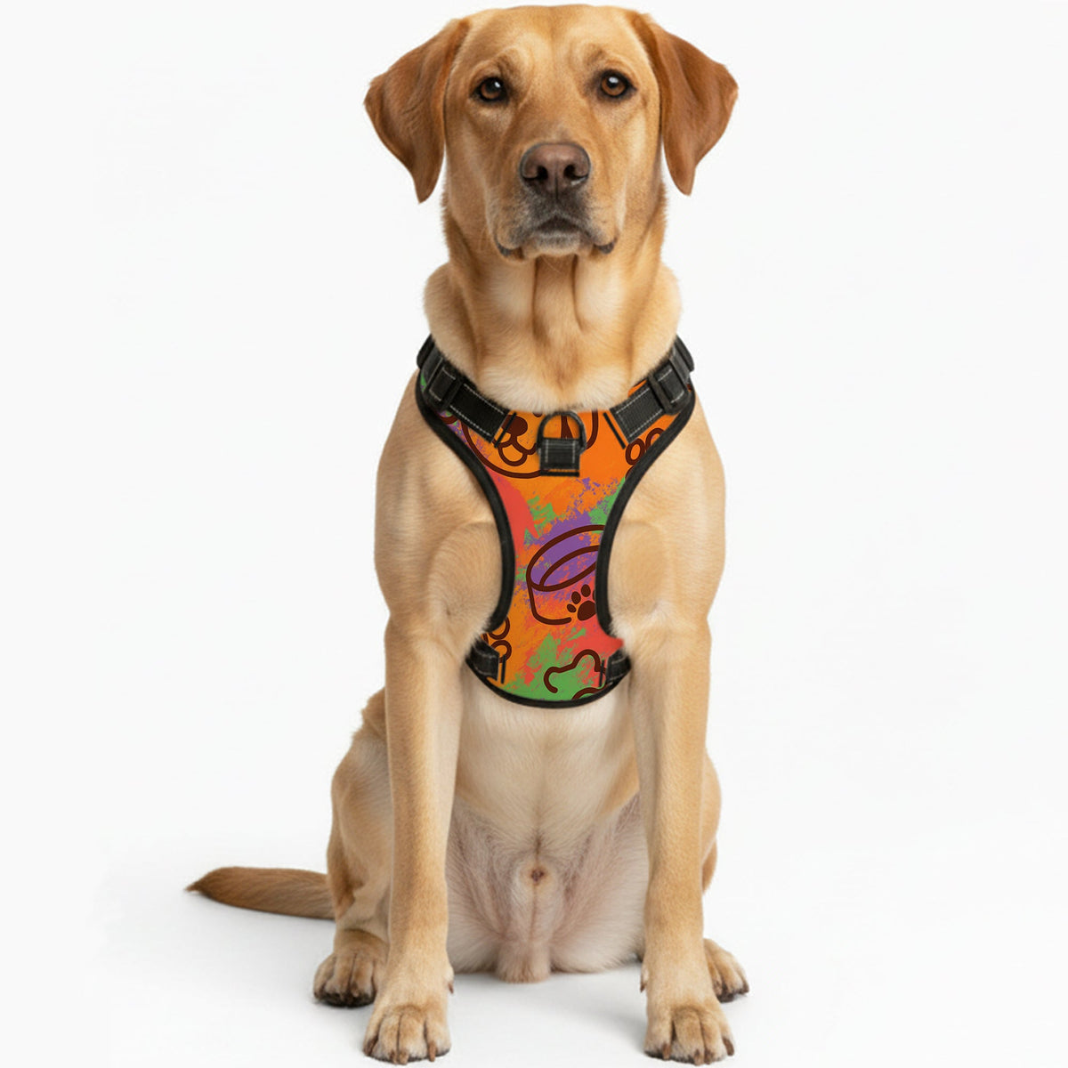 Molly - NO-PULL Iggy Harness & Leash Set | for small and large Dogs