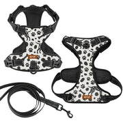 Sunny - NO-PULL Iggy Harness & Leash Set | for small and large Dogs