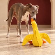 Italian Greyhound using Yellow Duck Dog Play Toy
