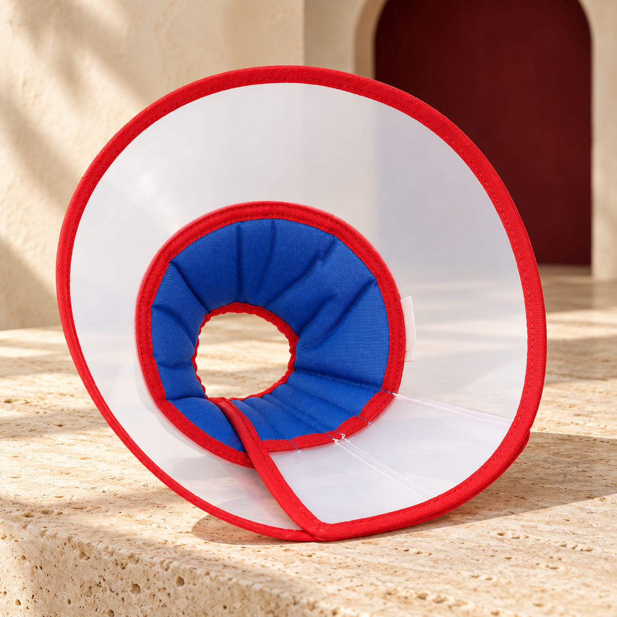 Blue clear dog recovery cone with padded neck