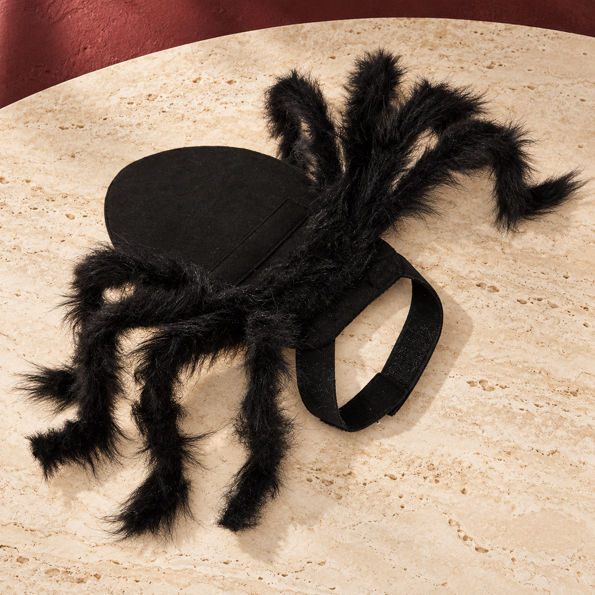 Black Spider Dog Costume in Black — product view