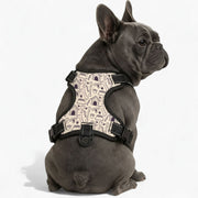 Rose - NO-PULL Iggy Harness & Leash Set | for small and large Dogs