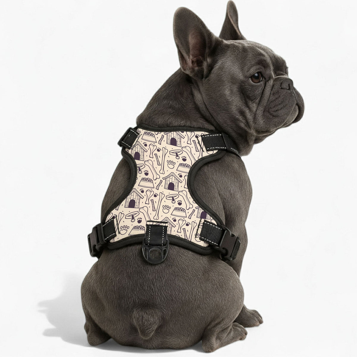 Rose - NO-PULL Iggy Harness & Leash Set | for small and large Dogs