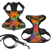 Molly - NO-PULL Iggy Harness & Leash Set | for small and large Dogs