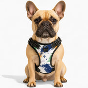 Oliver - NO-PULL Iggy Harness & Leash Set | for small and large Dogs