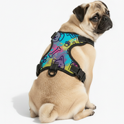 Lucy - NO-PULL Iggy Harness & Leash Set | for small and large Dogs