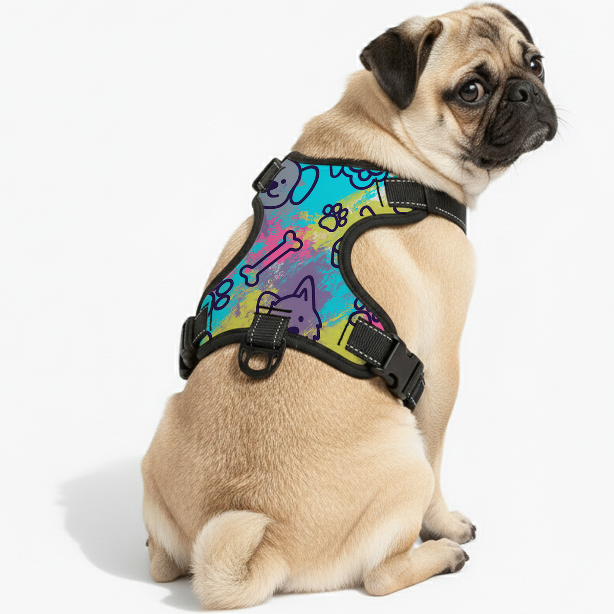 Lucy - NO-PULL Iggy Harness & Leash Set | for small and large Dogs