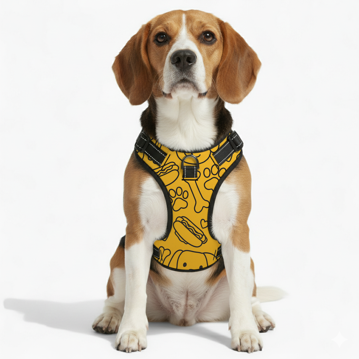 Milo - NO-PULL Iggy Harness & Leash Set | for small and large Dogs