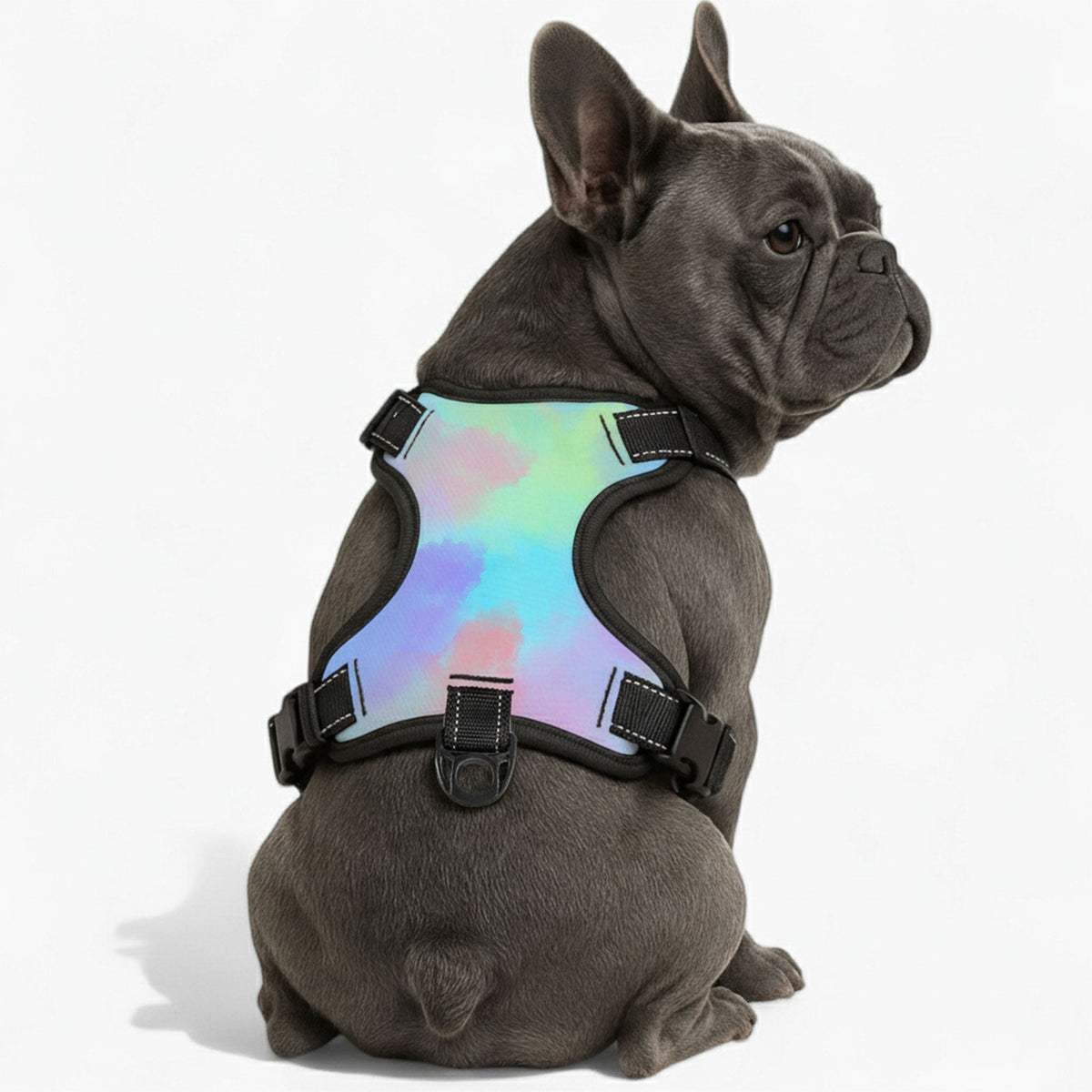 Cody - NO-PULL Iggy Harness & Leash Set | for small and large Dogs