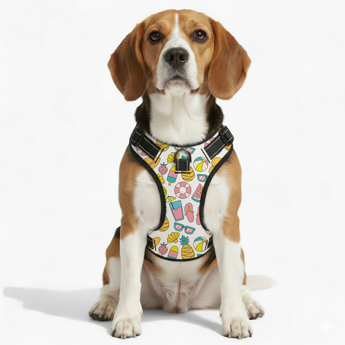 teddy - NO-PULL Iggy Harness & Leash Set | for small and large Dogs