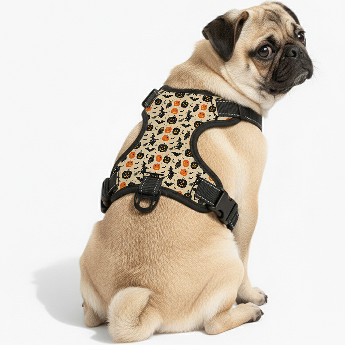 Roxy - NO-PULL Iggy Harness & Leash Set | for small and large Dogs