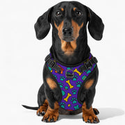 BELLA - NO-PULL Iggy Harness & Leash Set | for small and large Dogs