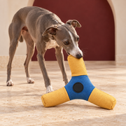 Italian Greyhound using Three Arm Fabric Dog Flying Disc