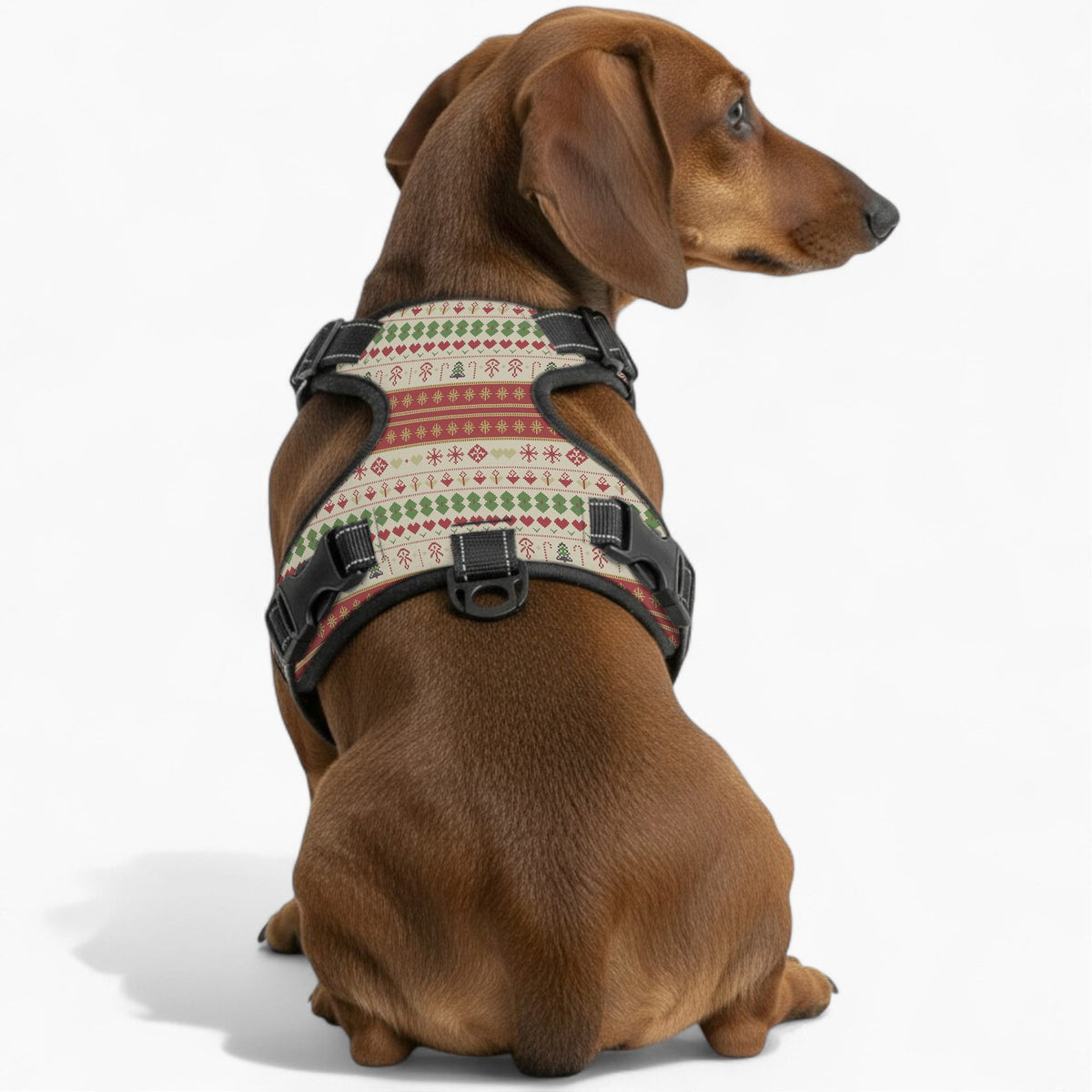 Tayson - NO-PULL Iggy Harness & Leash Set | for small and large Dogs
