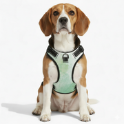 Toby - NO-PULL Iggy Harness & Leash Set | for small and large Dogs