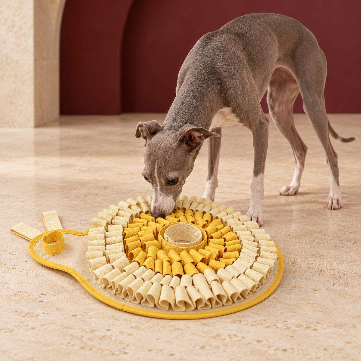 Italian Greyhound using Snail Shape Dog Snuffle Mat