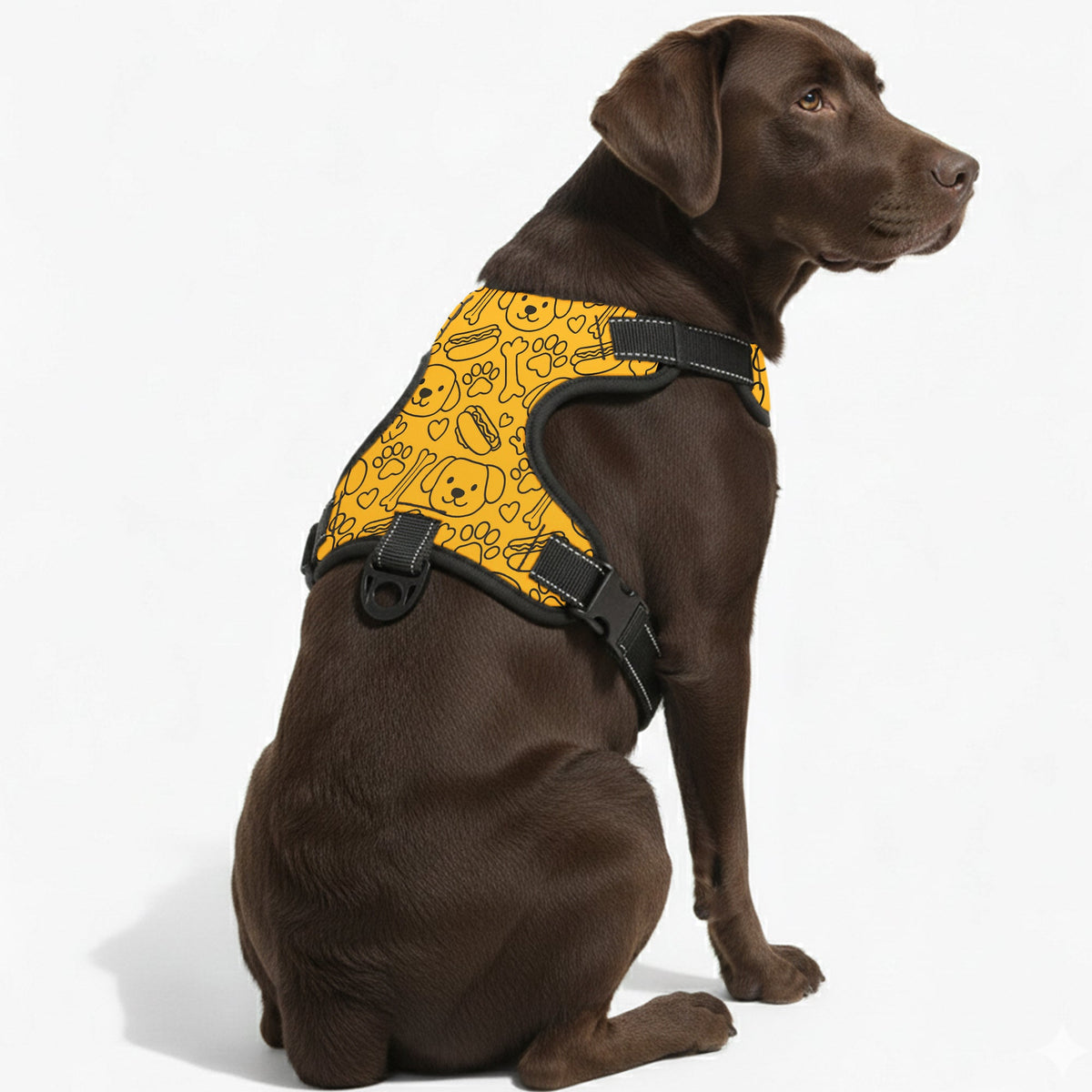 Milo - NO-PULL Iggy Harness & Leash Set | for small and large Dogs