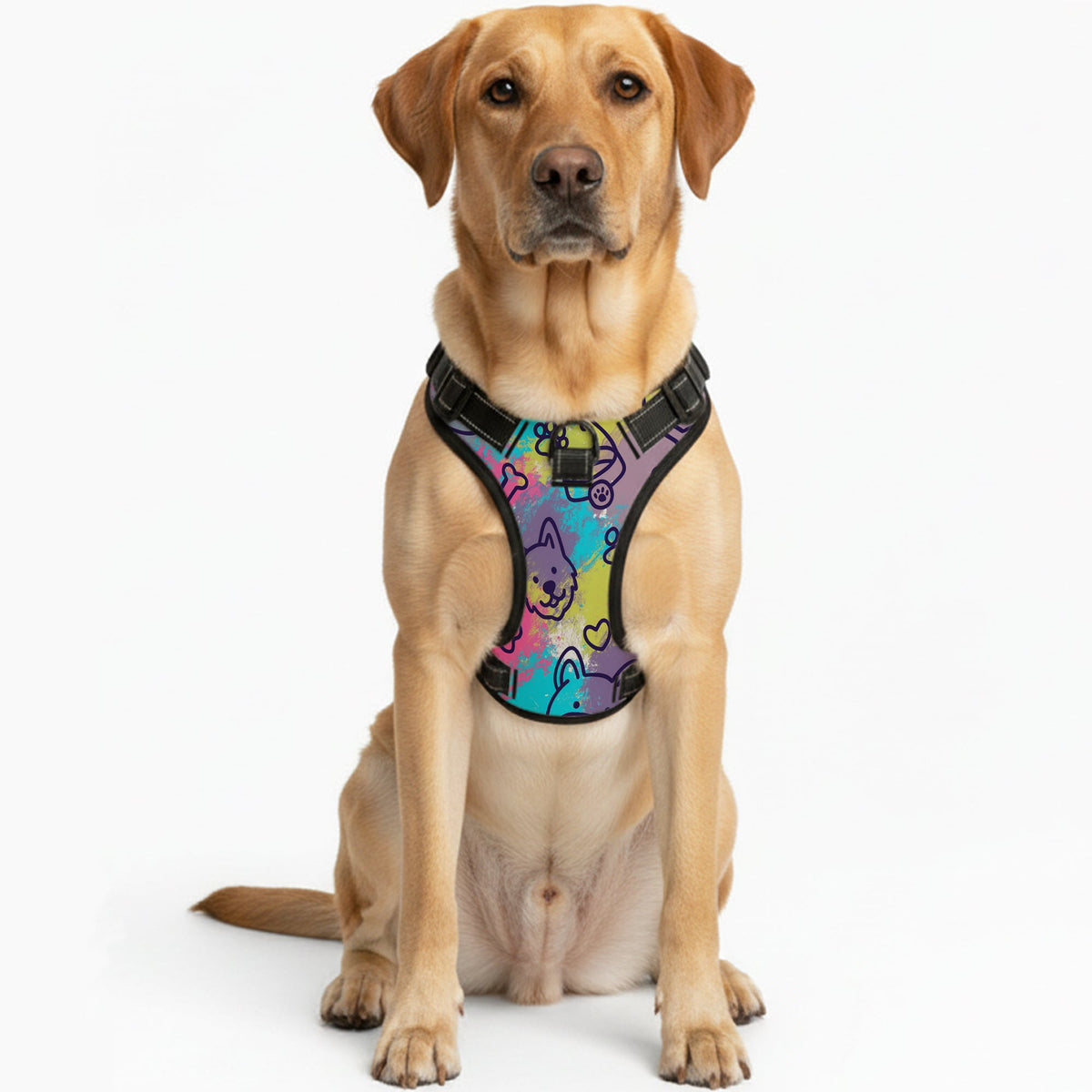 Lucy - NO-PULL Iggy Harness & Leash Set | for small and large Dogs