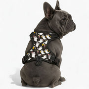 Ace - NO-PULL Iggy Harness & Leash Set | for small and large Dogs