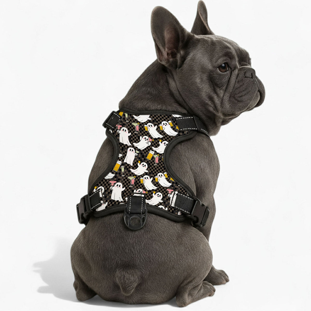 Ace - NO-PULL Iggy Harness & Leash Set | for small and large Dogs