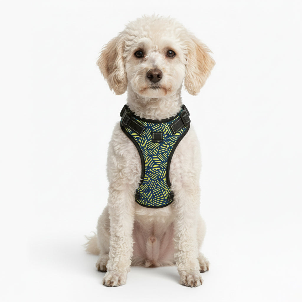 Jasper - NO-PULL Iggy Harness & Leash Set | for small and large Dogs