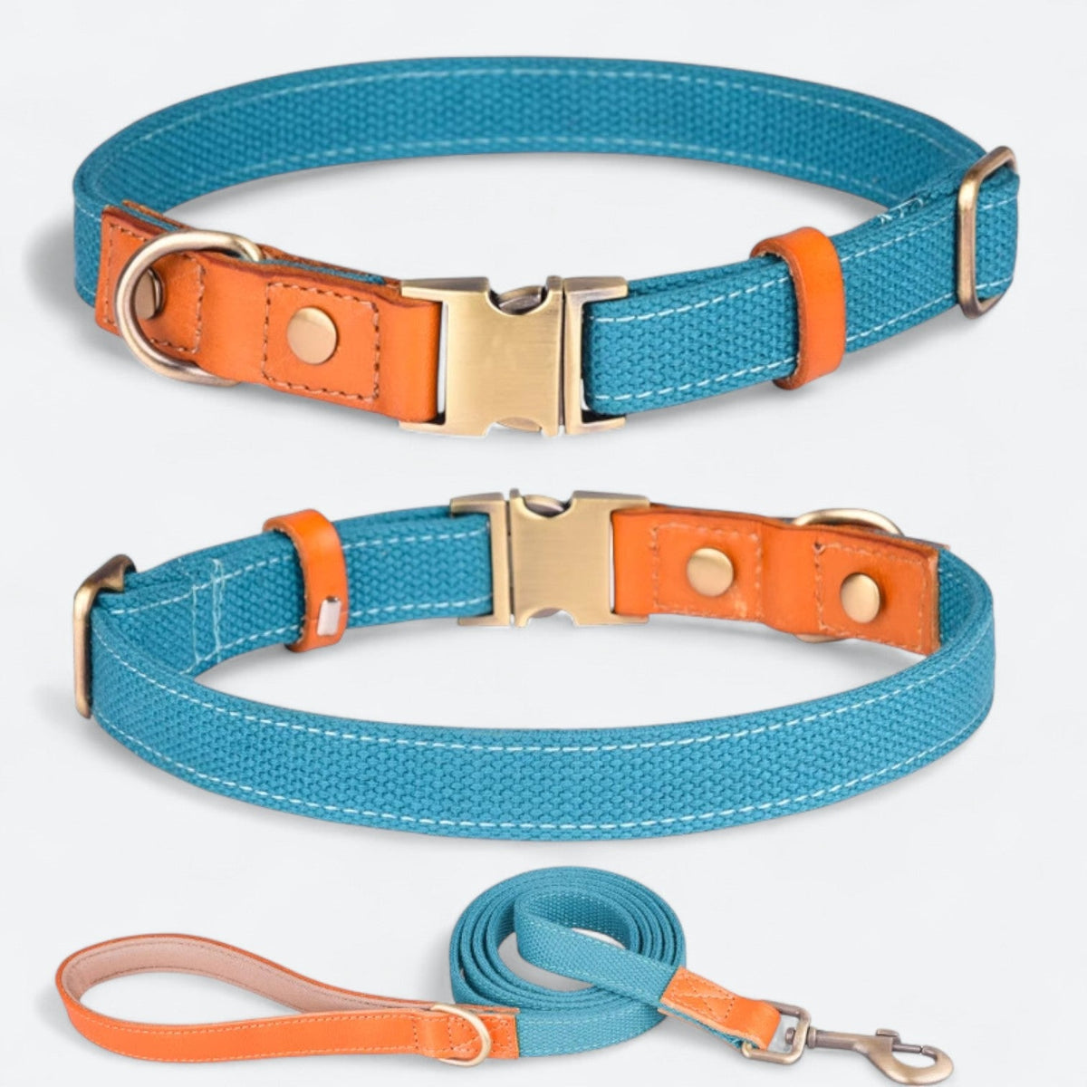 Adjustable anti-lost dog collar and leash set
