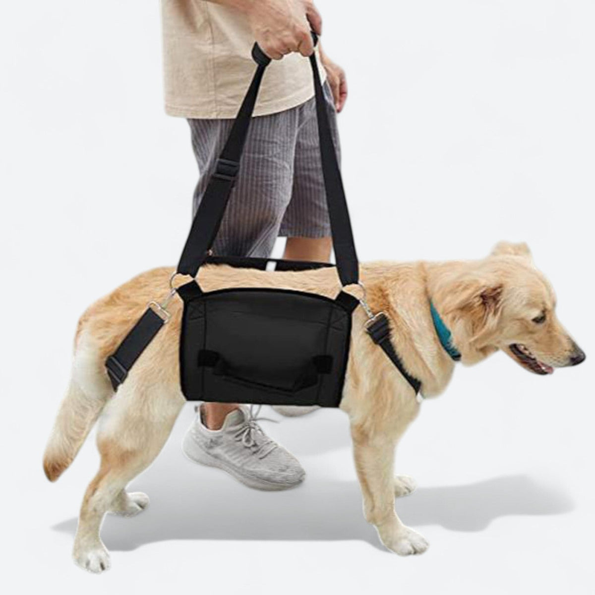 Adjustable-Dog-Lift-Support-Harness.jpg