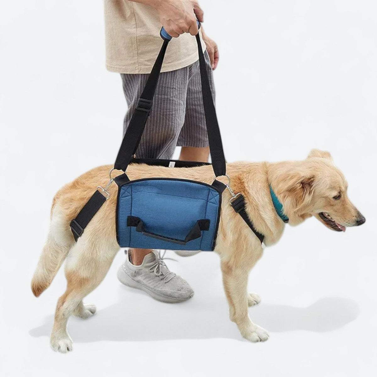 Adjustable-Dog-Lift-Support-Harness.jpg