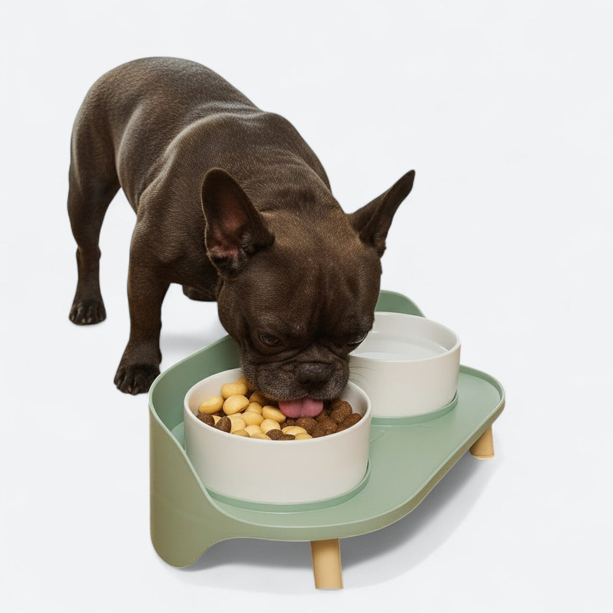 Adjustable-Elevated-Dog-Bowl-Set.jpg