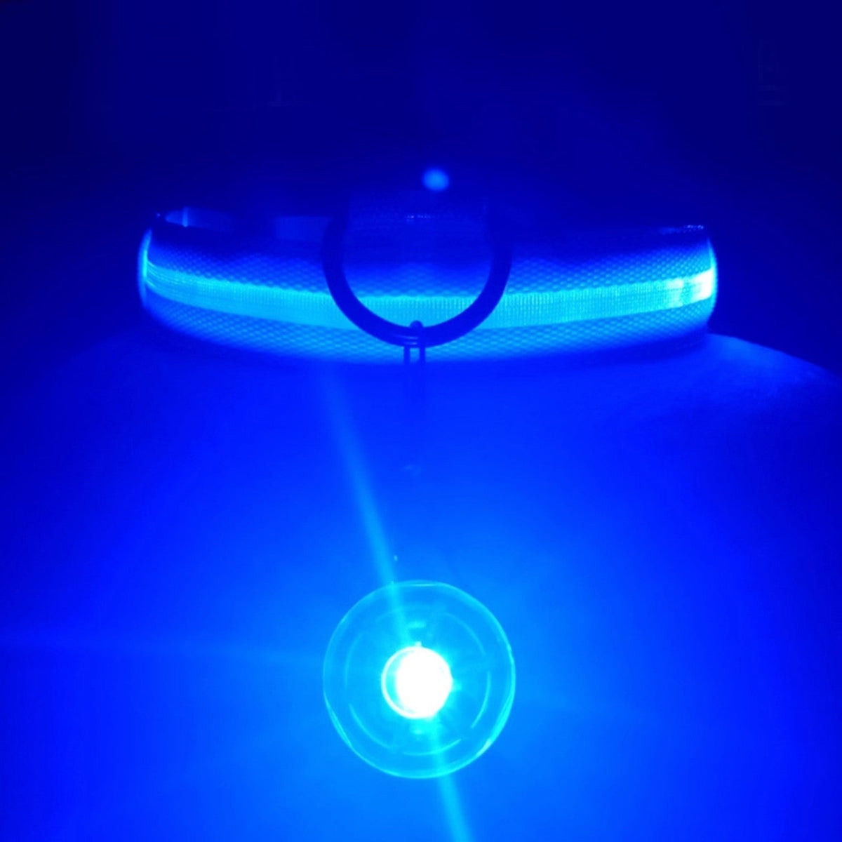 Adjustable-LED-Glowing-Dog-Collar.jpg