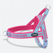 Adjustable mesh dog harness