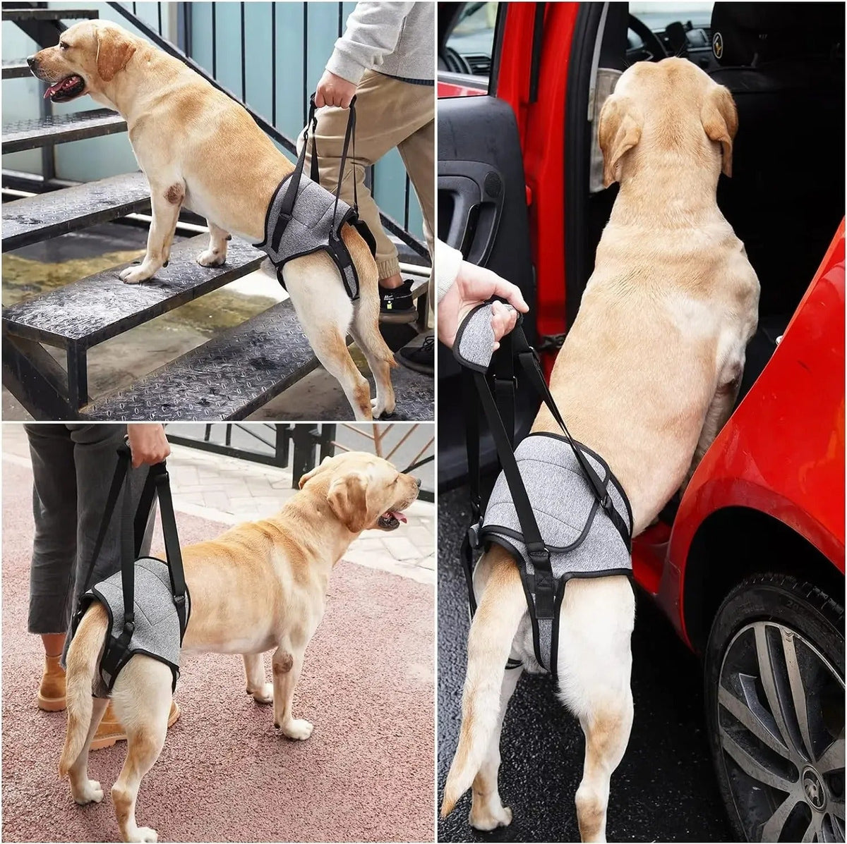 Adjustable Rear-Leg Dog Lift Harnessv
