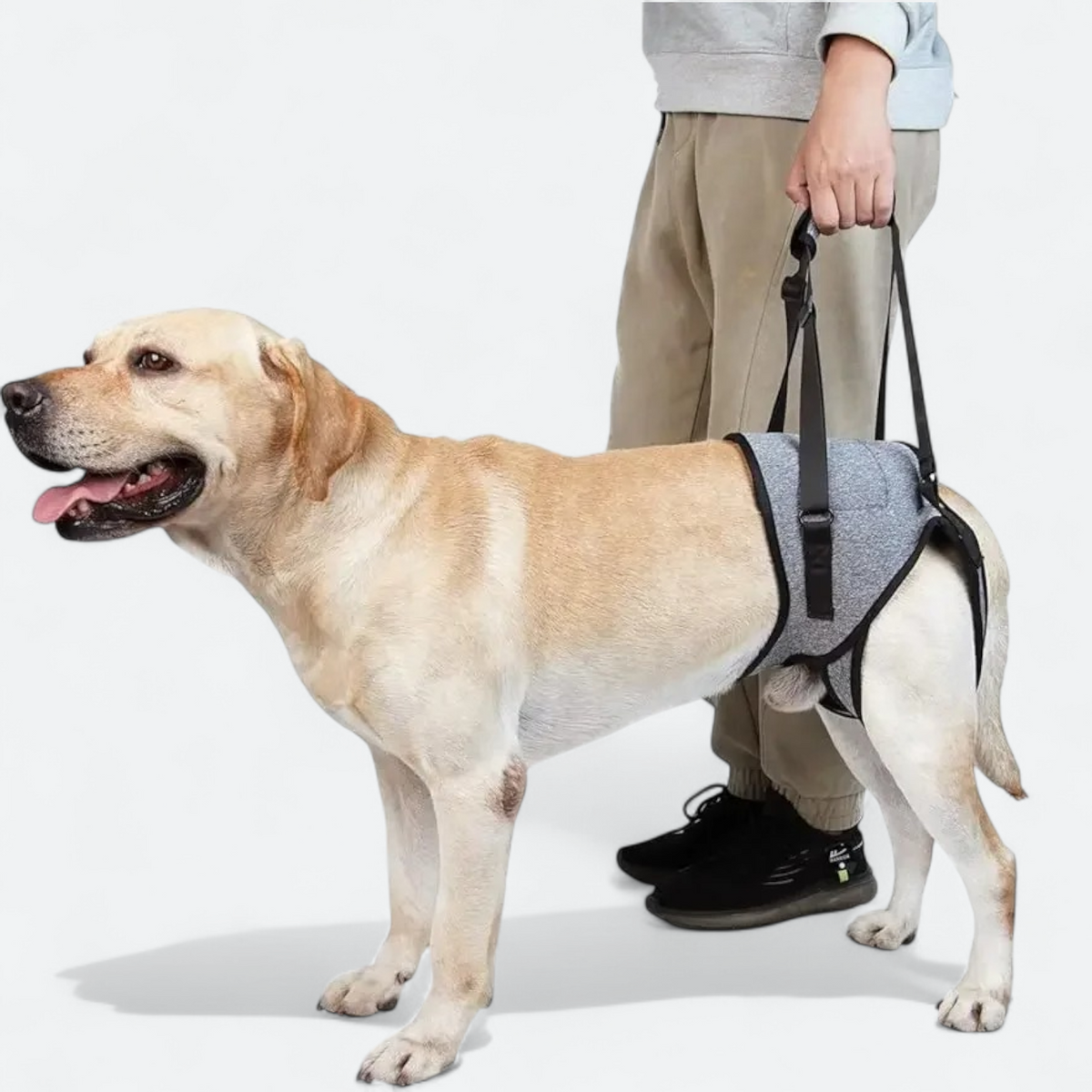 Adjustable-Rear-Leg-Dog-Lift-Harness