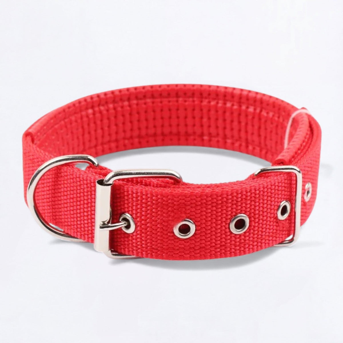Adjustable solid nylon dog collar