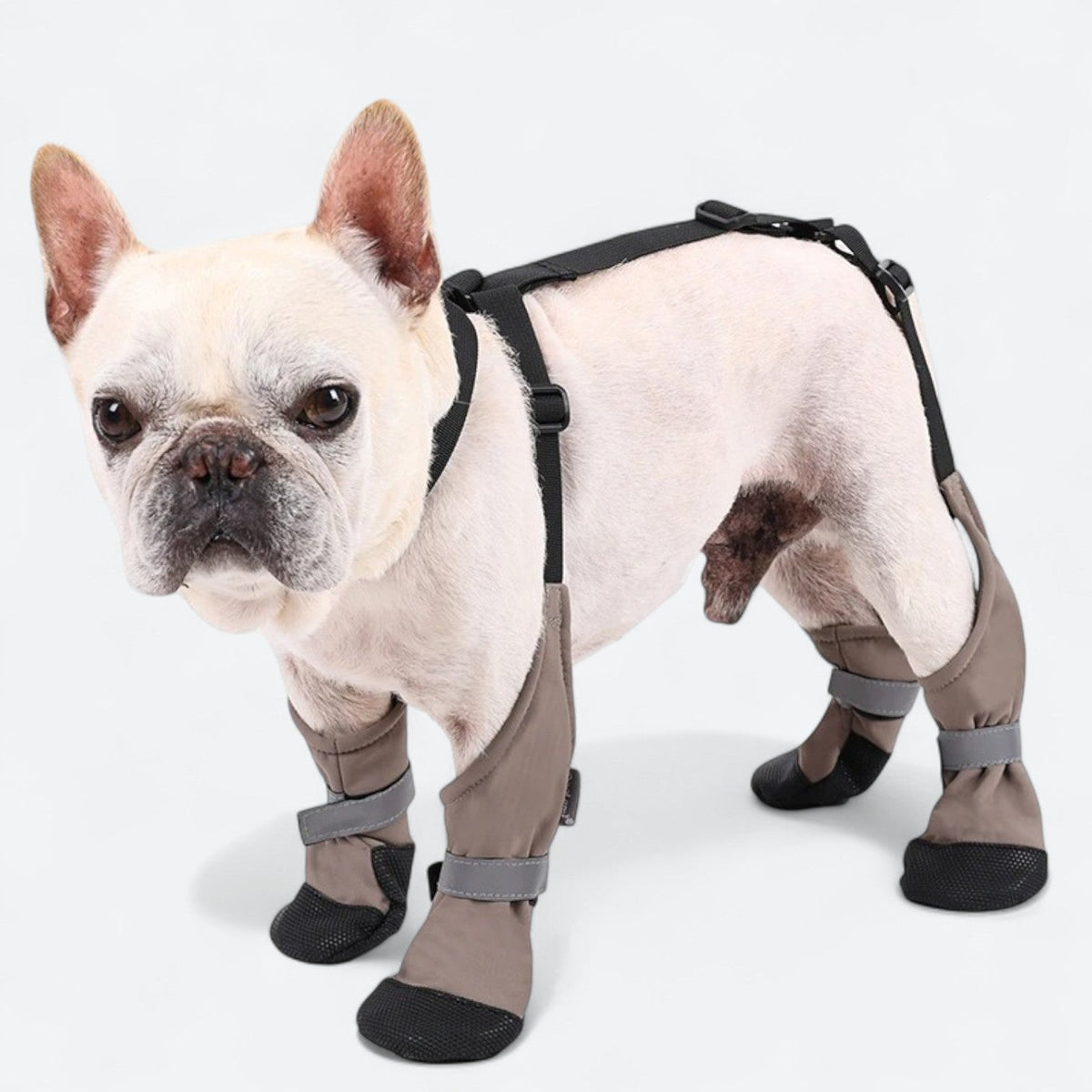 Adjustable-Waterproof-Harness-Dog-Boots.jpg