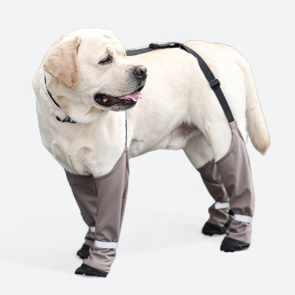 Adjustable-Waterproof-Harness-Dog-Boots.jpg