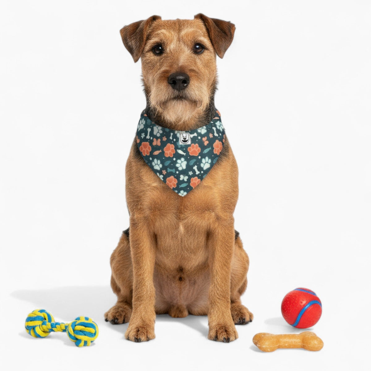 Angel – Dog Bandanas