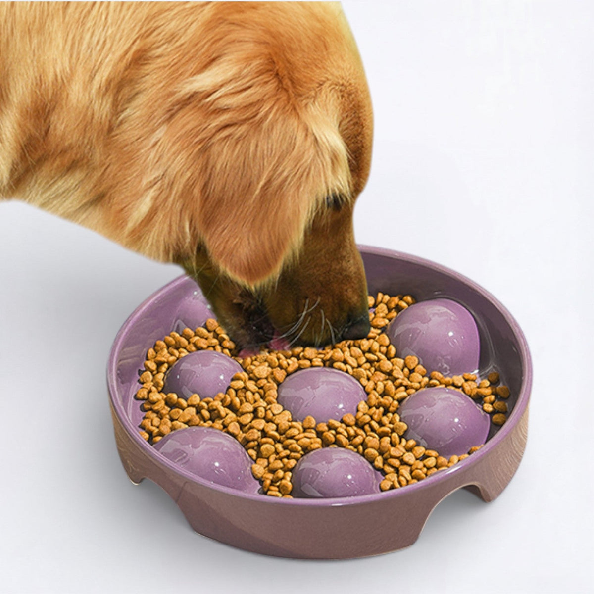 Anti-Choking-Ceramic-Dog-Puzzle-Feeder.jpg